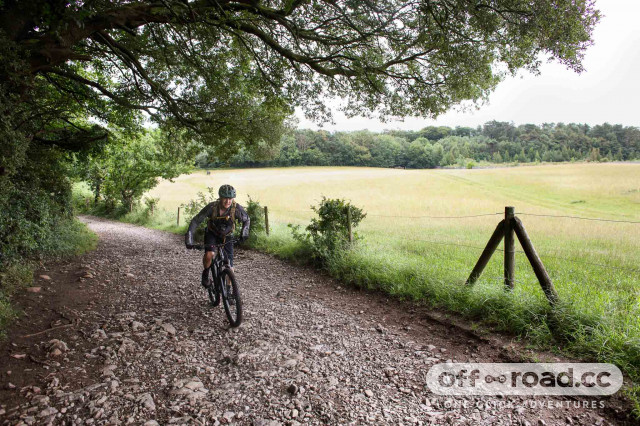 Leigh woods store mountain biking