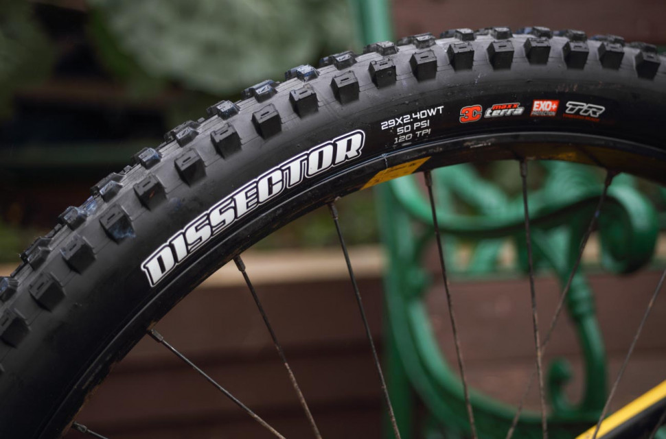 maxxis dissector tyre