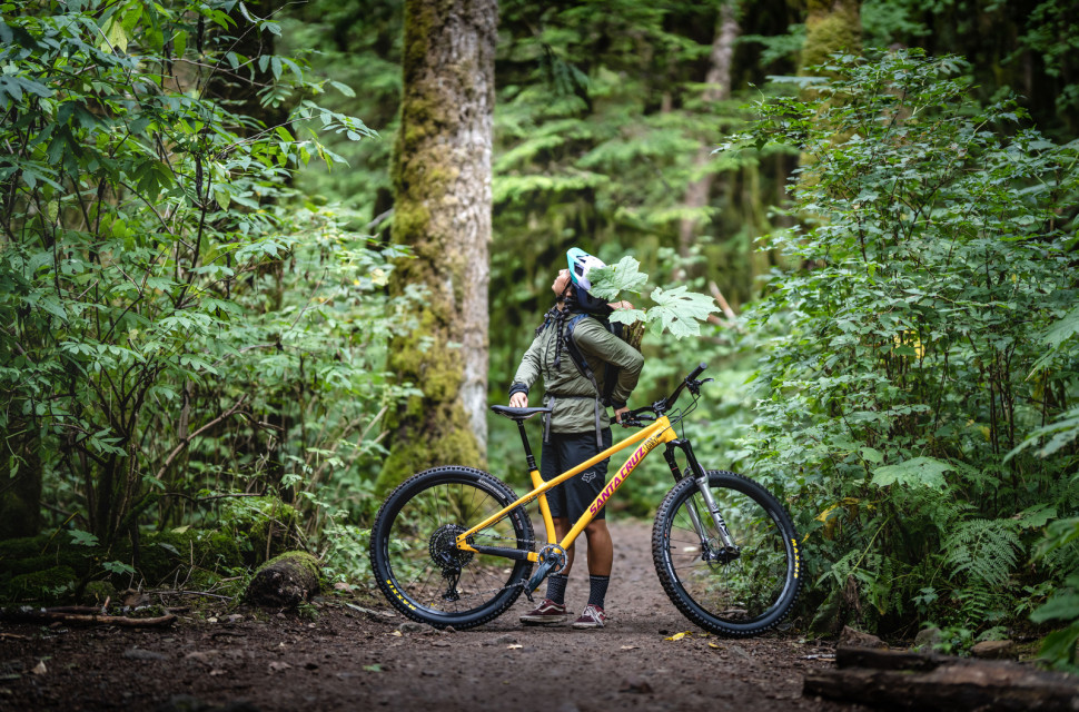 Hardtail vs Full Suspension, What Is a Hardtail Bike