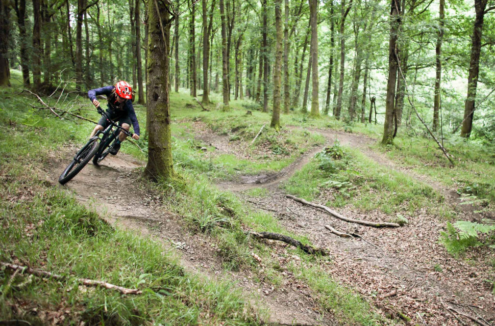 Decathlon Route: Forest of Dean | off-road.cc