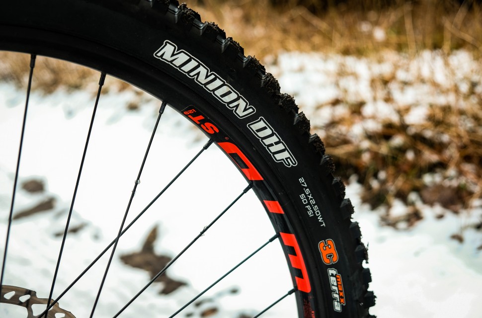 mountain bike tubeless tires