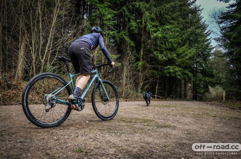 mid range gravel bike