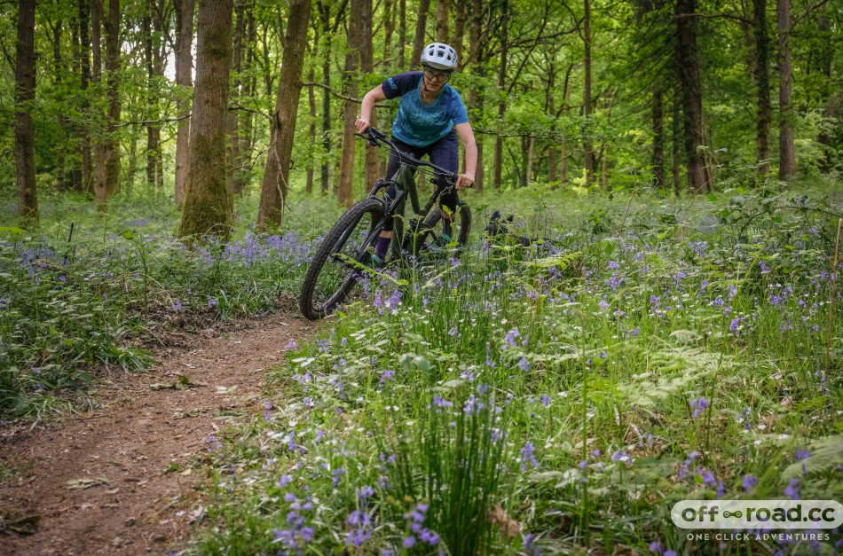 what to look for when buying a mountain bike